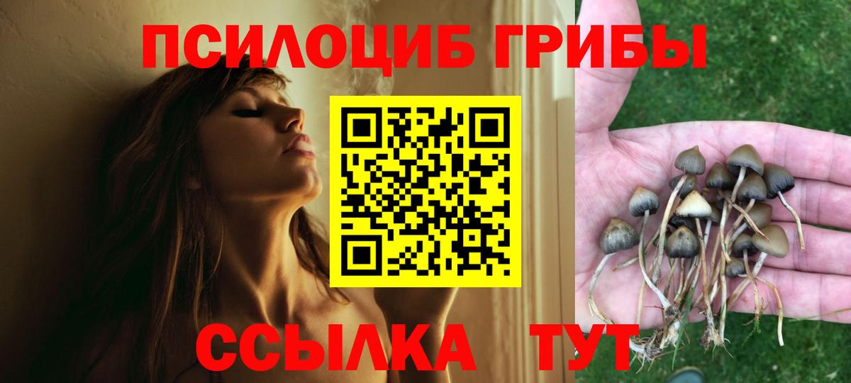 продажа наркотиков  Галлюциногенные грибы Psilocybine cubensis  Вход с VPN  Ейск 